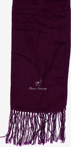 Alpaca Carmargo Schal in One size in Purple: front