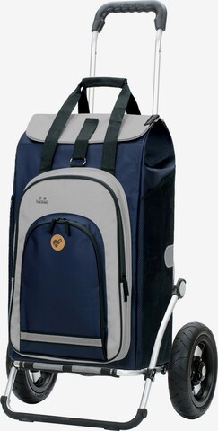 Trolley 'Hydro 2.0' di Andersen Shopper in blu: frontale