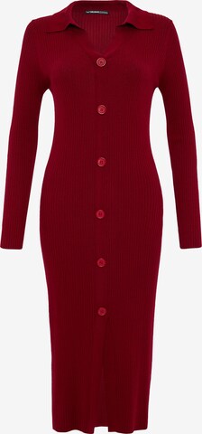 Threadbare Kleid 'Elm' in Rot: predná strana