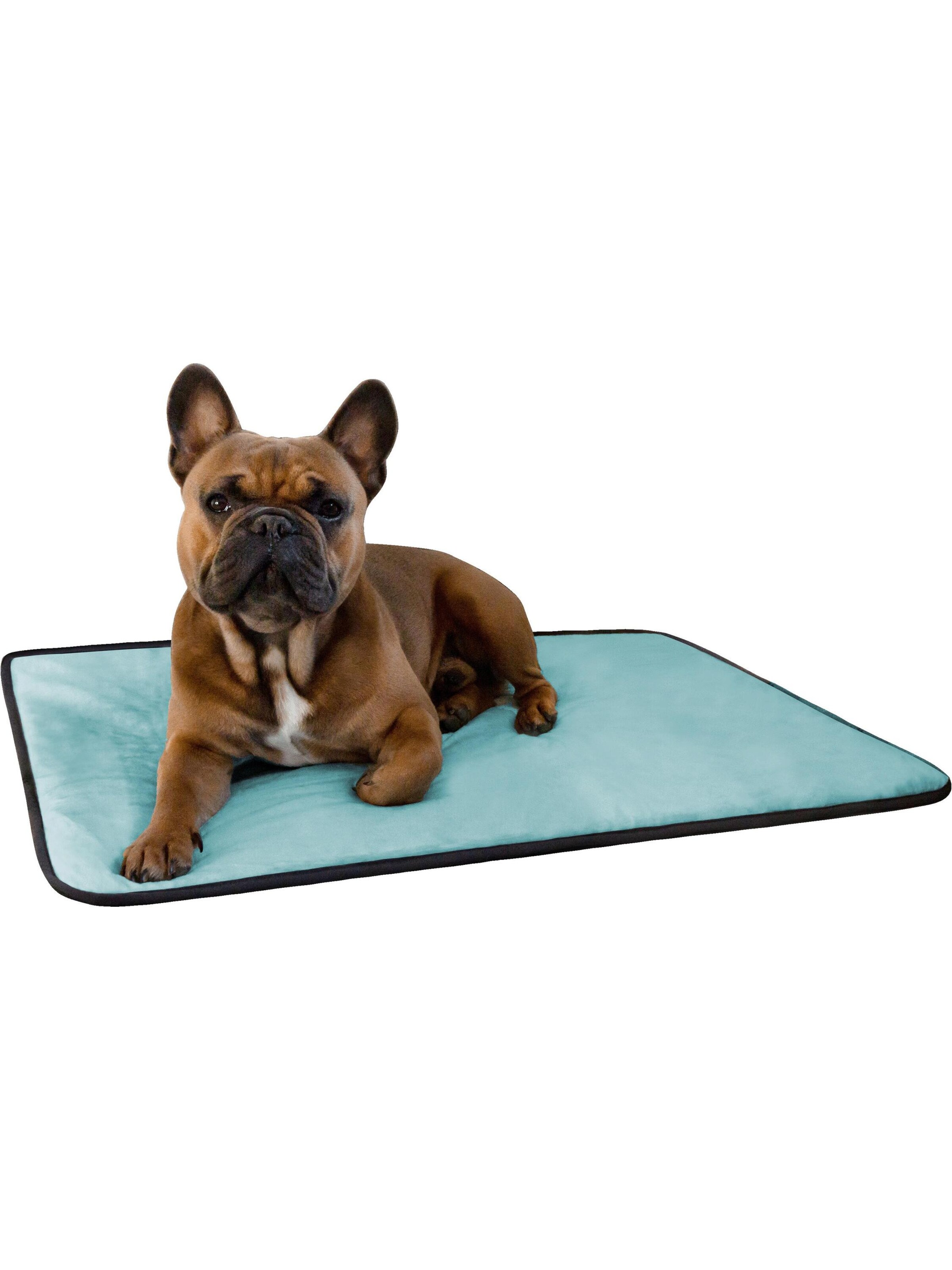 Aspero Hundedecke 'Lund' in Blau