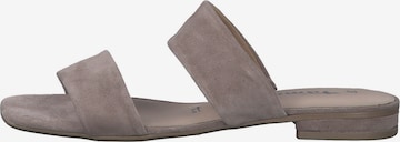 Mule TAMARIS en gris