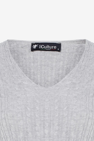 DENIM CULTURE Pullover 'Verla' in Grau