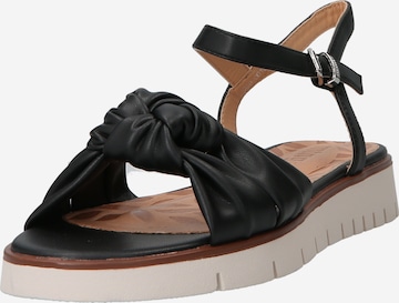 MTNG Sandals in Black: front