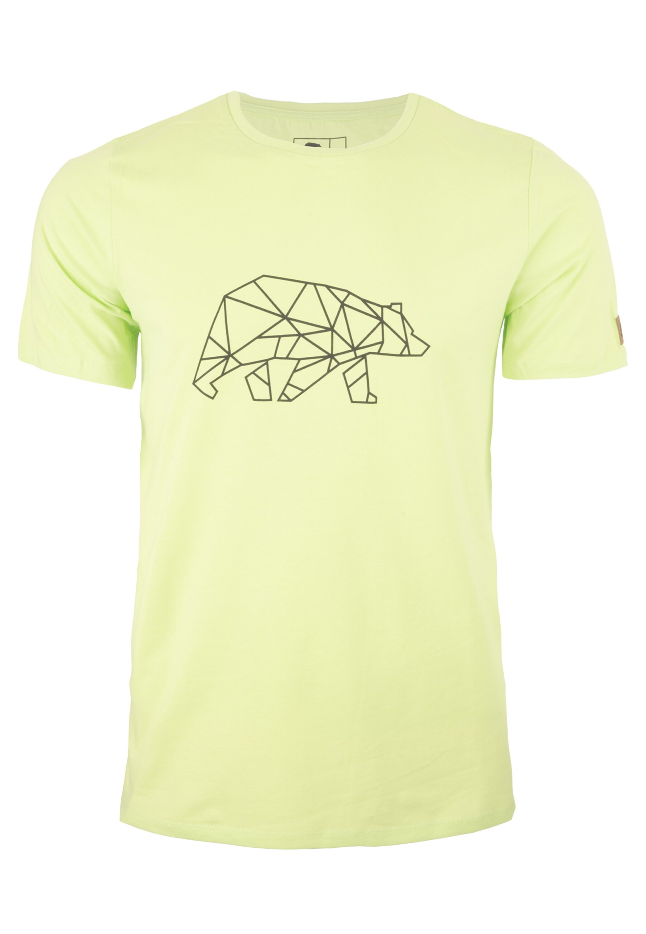 FORSBERG T-Shirt in Grün: Vorderseite