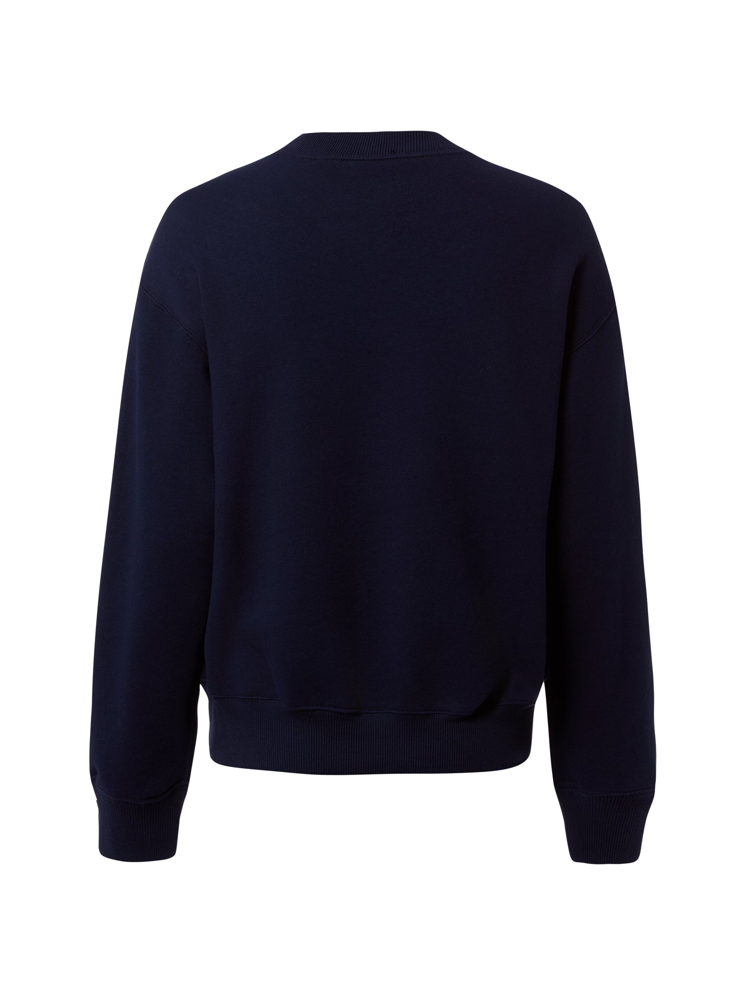 Polo Ralph Lauren Sweatshirt in Blue