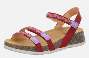 THINK! Riemensandale in Rot: Vorderseite