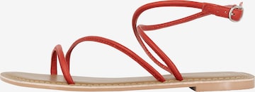 faina Strap Sandals in Red: front