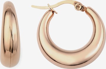 Heideman Earrings 'Talos' in Gold: front