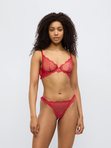 raudona Hunkemöller Siaurikės 'Cordelie'