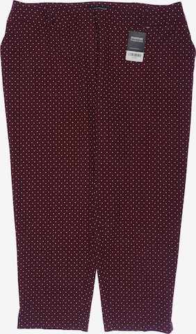 Dorothy Perkins Stoffhose 4XL in Rot: Vorderseite
