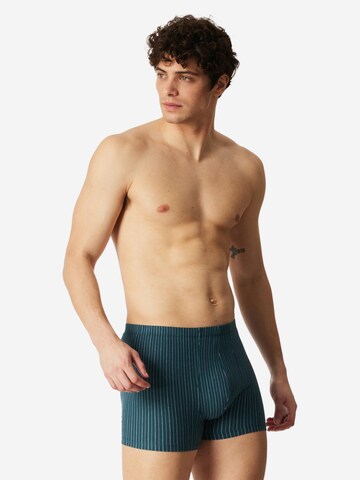 SCHIESSER Boxershorts '95/5 Essentials - Organic Cotton' in Blauw