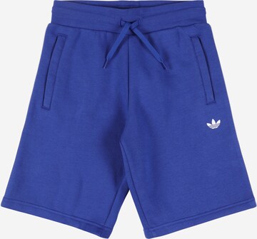 ADIDAS ORIGINALS Broek 'Adicolor' in Blauw: voorkant