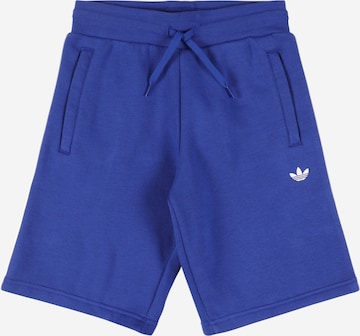 ADIDAS ORIGINALS Regular Pants 'Adicolor' in Blue: front