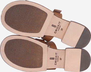 Crickit Sandalen met riem 'ODETTE' in Bruin