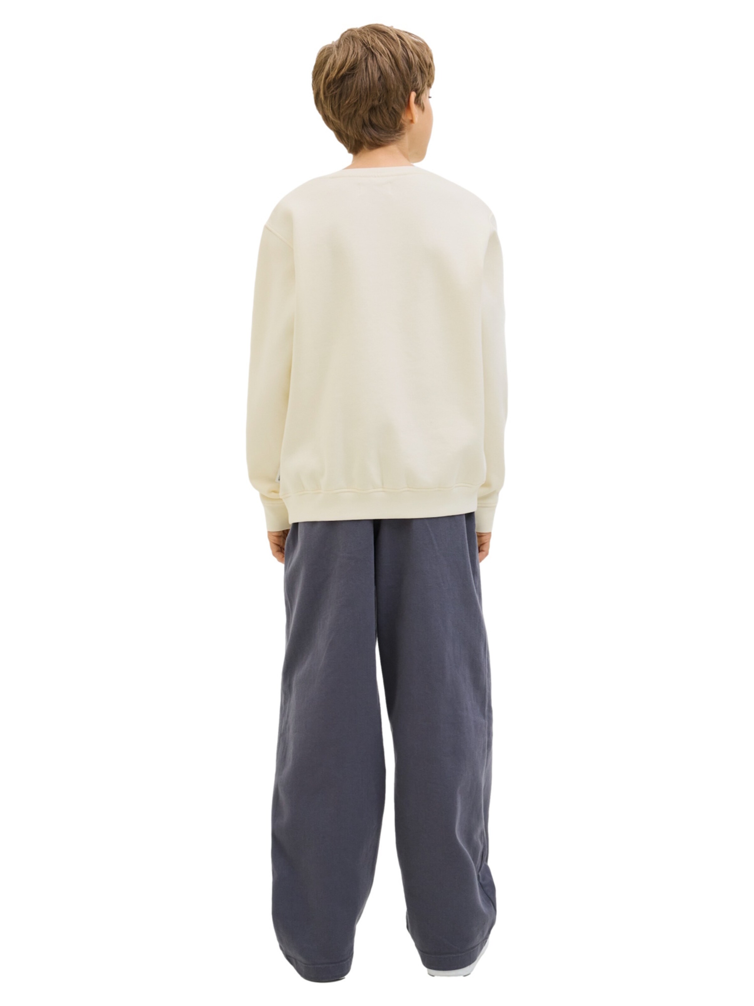 Jack & Jones Junior Sweatshirt 'Tier' in Beige