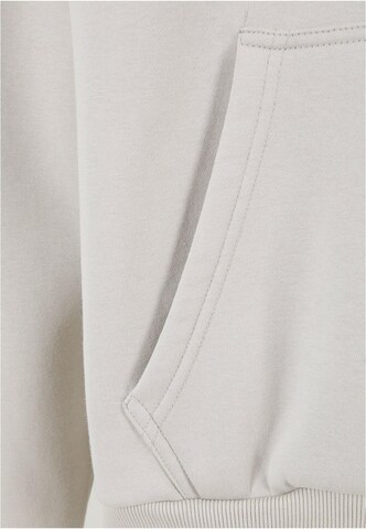 Felpa di Dropsize in grigio