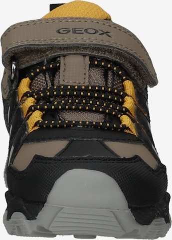 GEOX Sneakers in Bruin