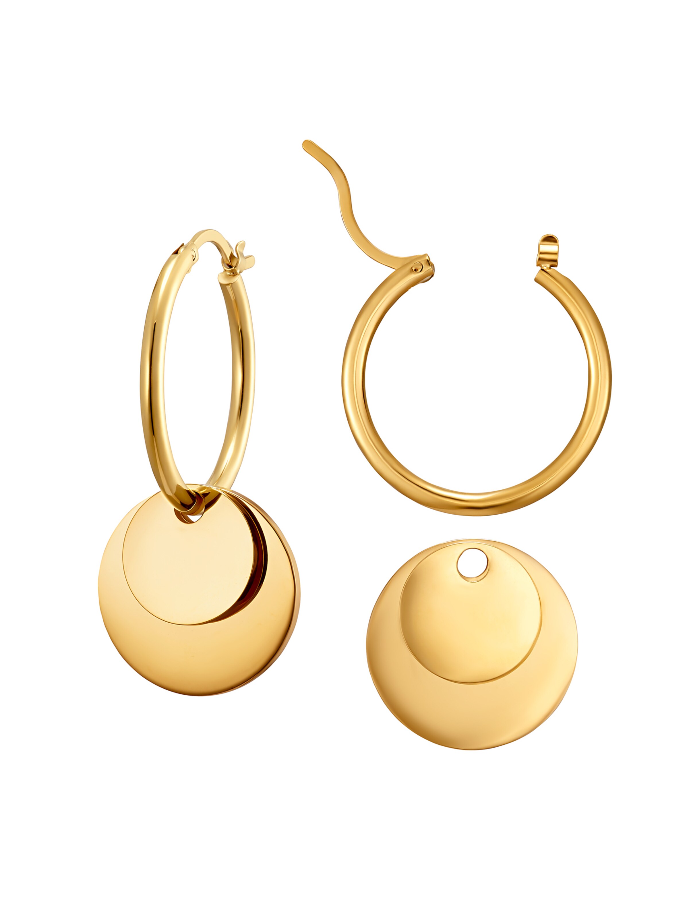 Heideman Earrings in Gold