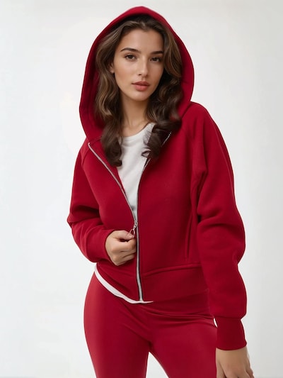 Hiccup Zip-Up Hoodie in Red, Item view