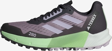ADIDAS TERREX Running Shoes 'Agravic Flow 2.0' in Grey: front