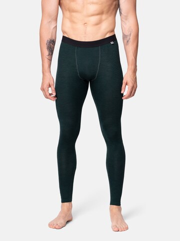 DANISH ENDURANCE Regular Functionele broek 'Merino' in Groen: voorkant