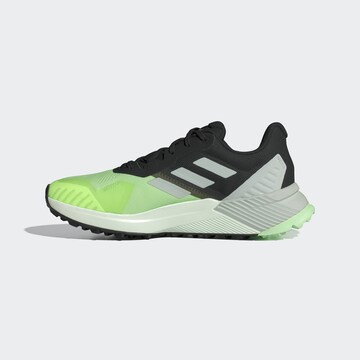 ADIDAS TERREX Laufschuh 'Soulstride' in Grau