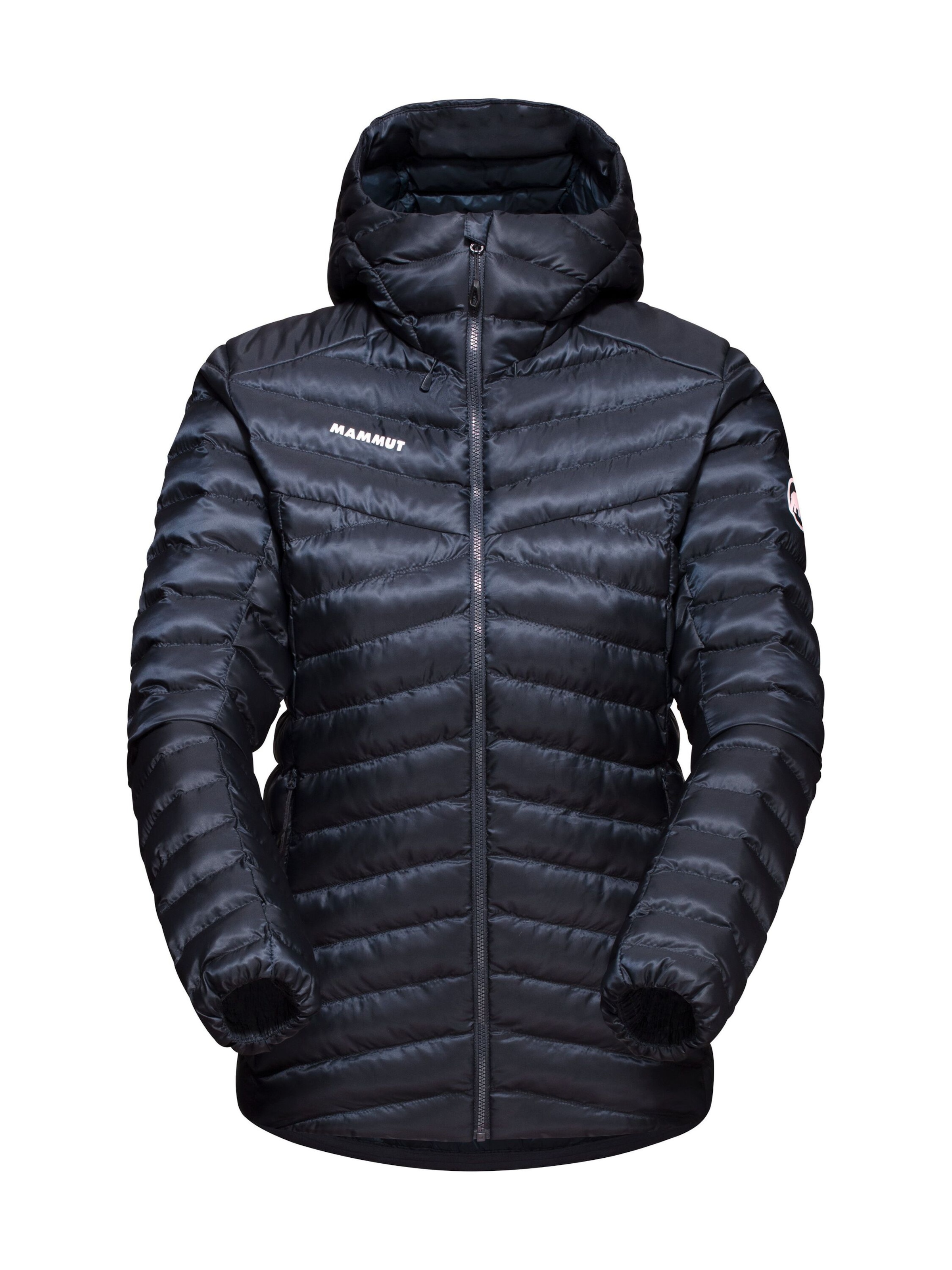 MAMMUT Outdoorjacke ‘Albula’ in Blau: Vorderseite