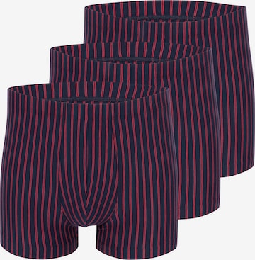 SCHIESSER Boxer shorts '95/5 Essentials Organic Cotton' in Red: front