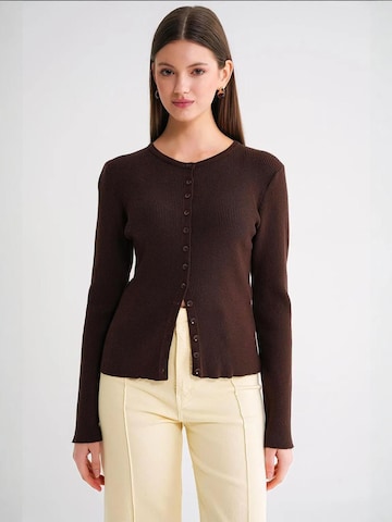MixRay Knit Cardigan in Brown: front