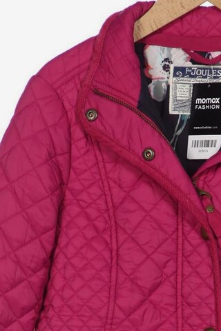Joules Jacke S in Pink