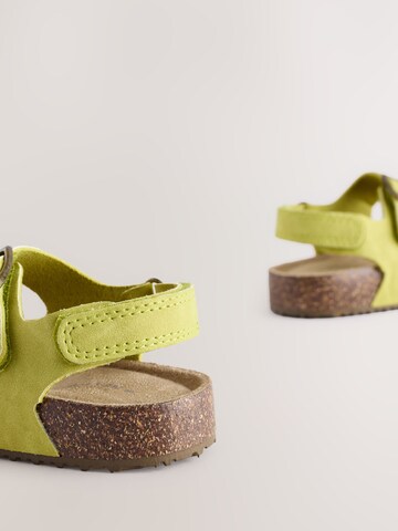 Next Open shoes in Green