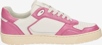 SIOUX Sneakers laag 'Tedroso-DA-700' in Roze