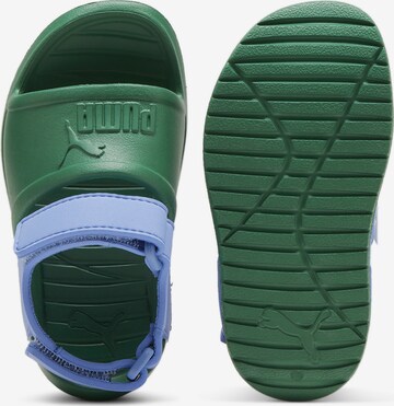 Sandales 'Divecat v2 Injex' PUMA en vert