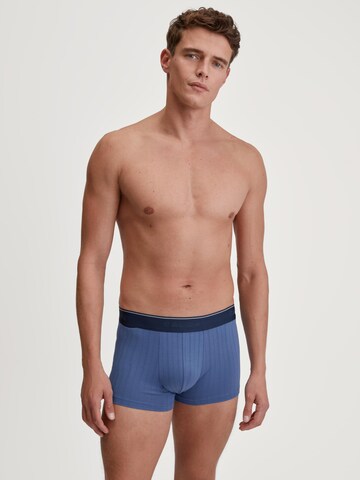 CALIDA Boxer shorts 'Pure & Style' in Blue: front