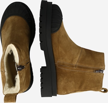 ANGULUS Ankle Boots in Beige