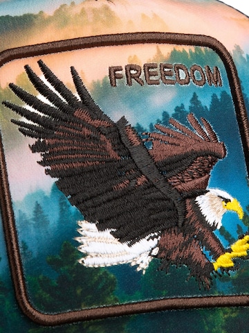 GOORIN Bros. Cap 'Eagle In The Element'‌‌ in Mischfarben