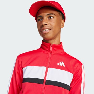 ADIDAS SPORTSWEAR Тренировочный костюм 'Seasonal Essentials Tiberio' в Черный