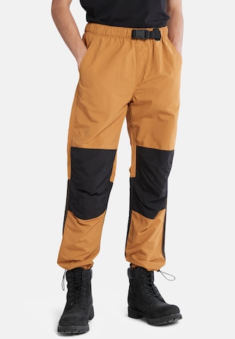 TIMBERLAND Regular Cargohose in Braun