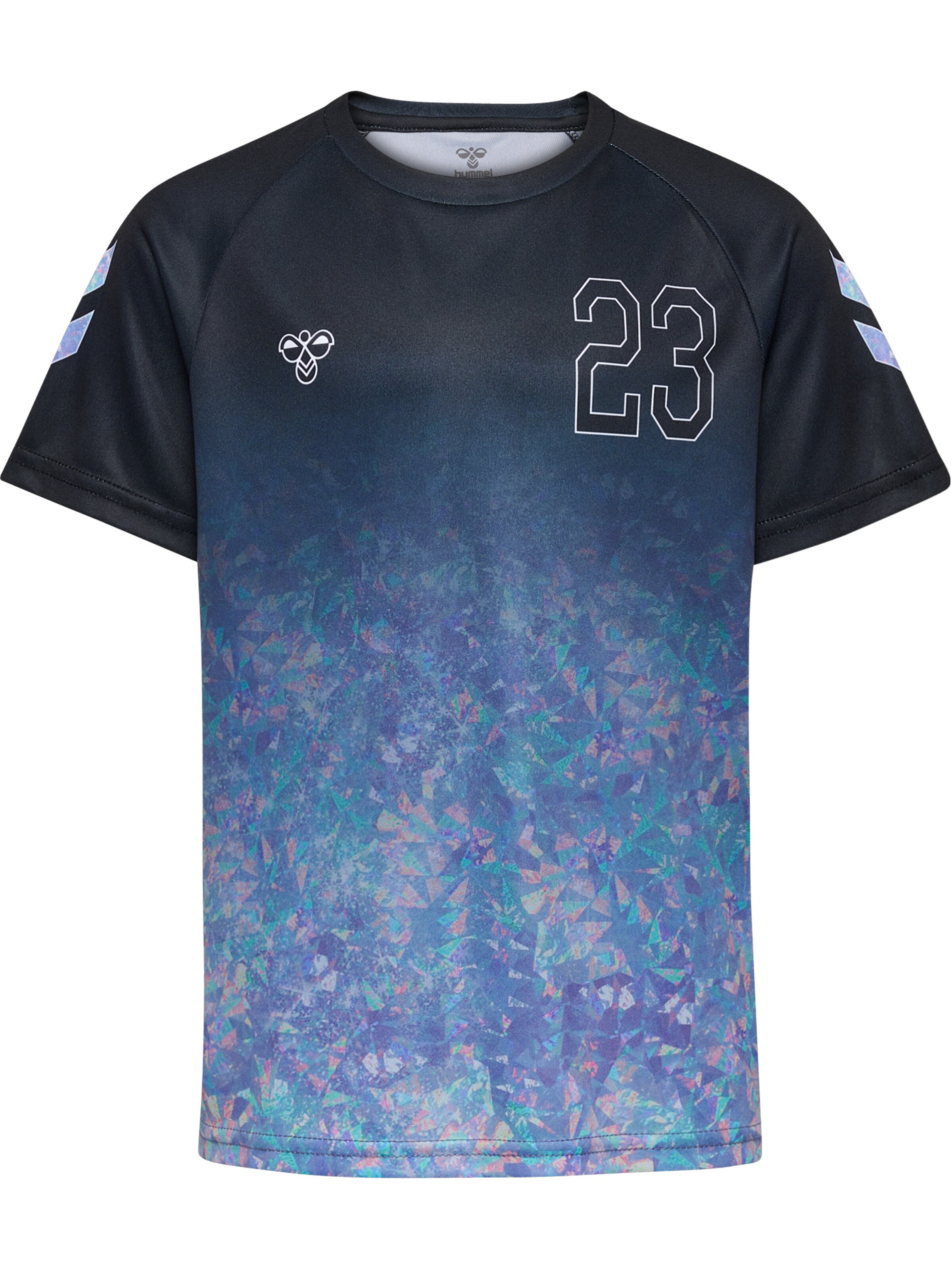 Hummel Shirt in Schwarz: Vorderseite