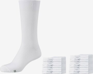 SKECHERS Socks 'Austin' in White