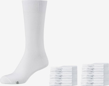 SKECHERS Socks 'Austin, 18er-Pack' in White: front
