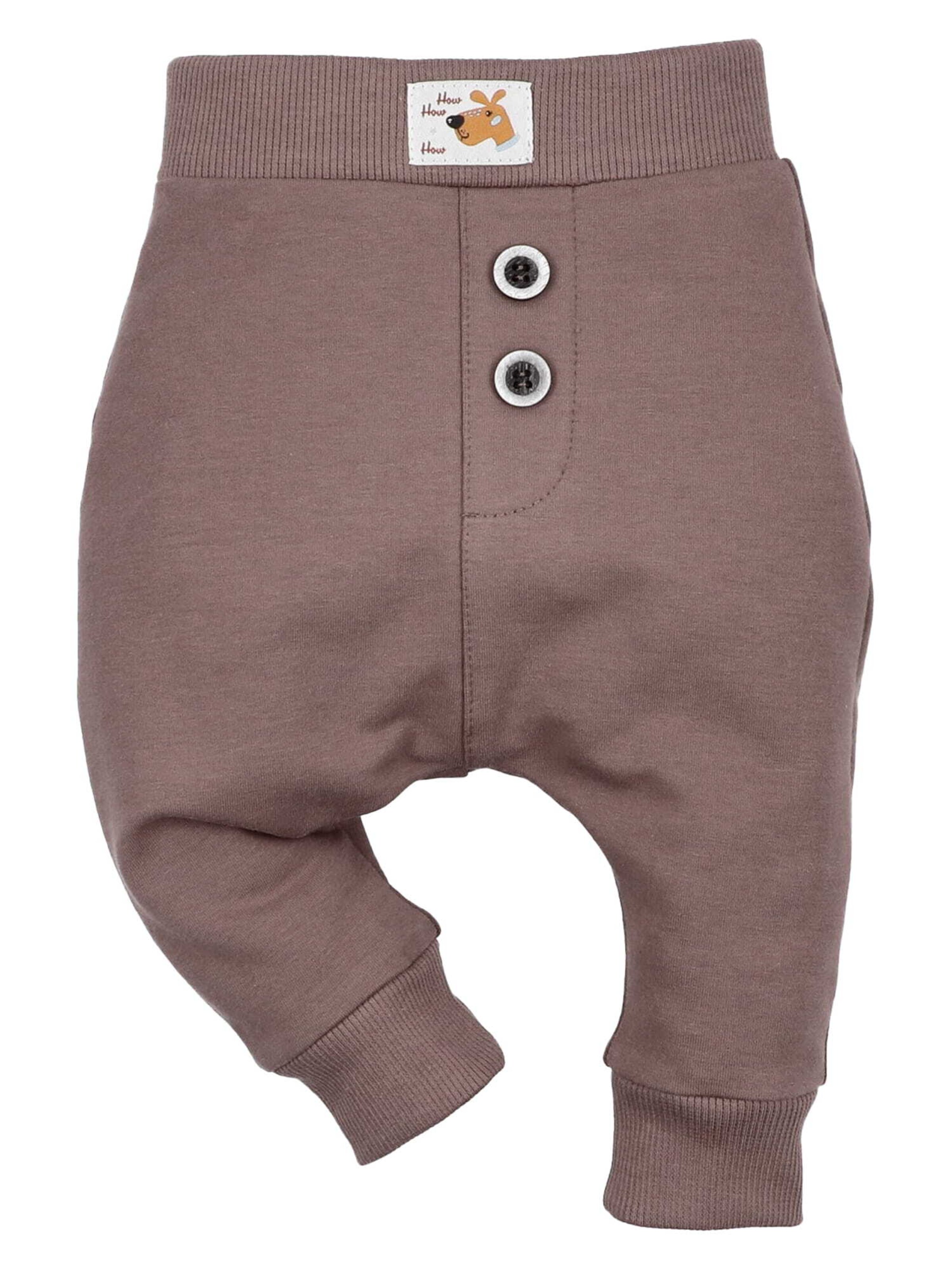 Pantalon 'Hund' NINI en violet : devant