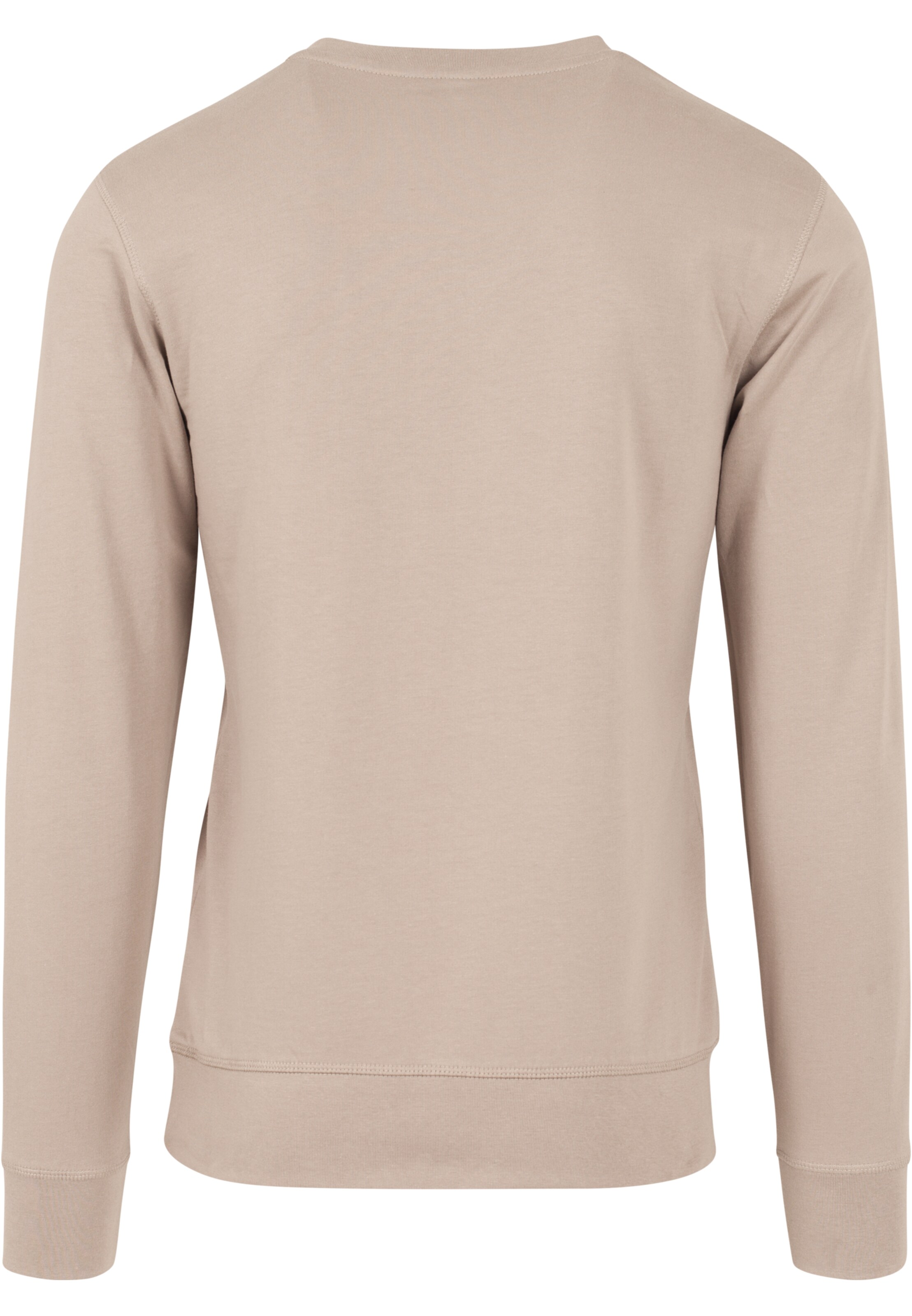 MT Men Sweatshirt 'Pray' in Beige