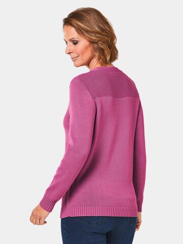 Goldner Pullover in Pink