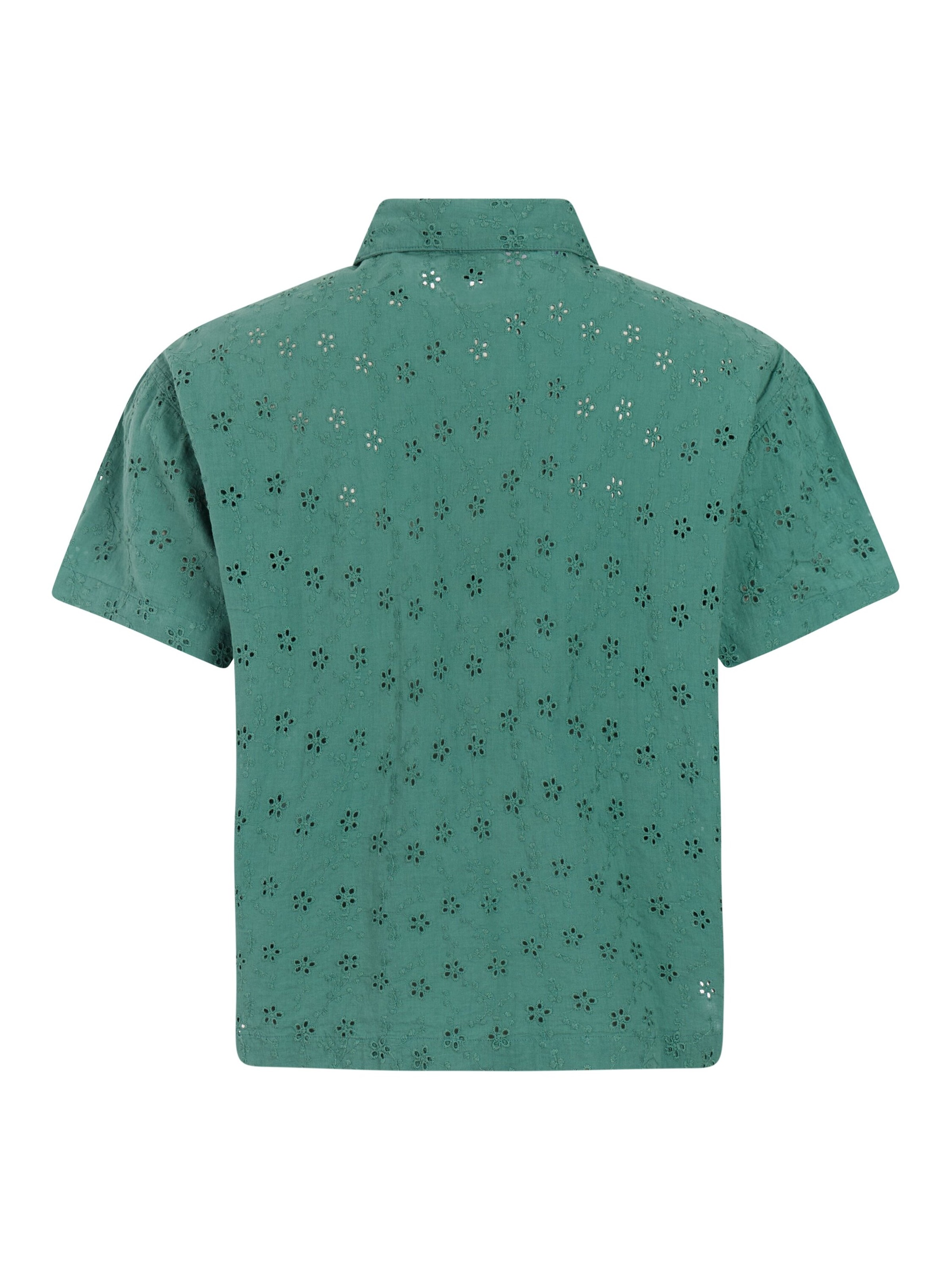 PROTEST Shirt 'PRTLymea' in Green
