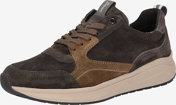 SIOUX Sneakers 'Tasulio' in Brown: front