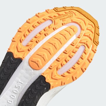 ADIDAS PERFORMANCE Running Shoes 'Ultraboost Light' in Grey