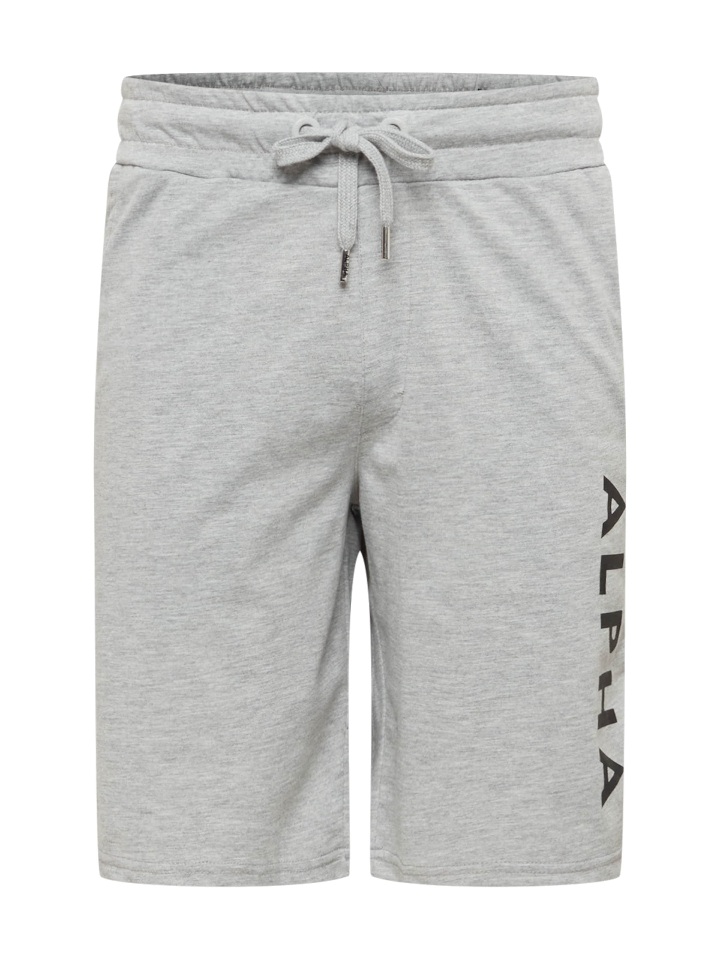 ALPHA INDUSTRIES Regular Trousers in Grey: front