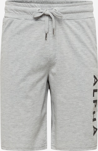 Regular Pantalon ALPHA INDUSTRIES en gris : devant