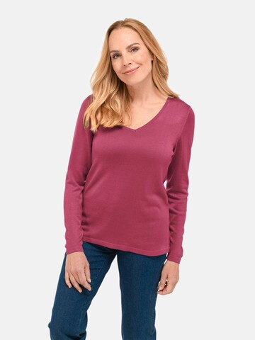 Goldner Sweater in Red: front